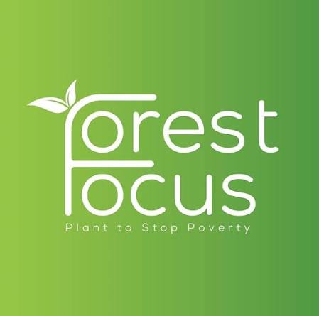 Forest Focus